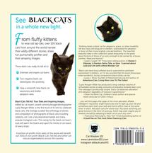 Black Cats Tell All Back Cover