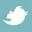 RoesGiving - Twitter