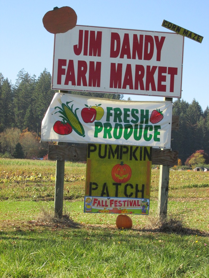 pumpkin patch hillsboro or