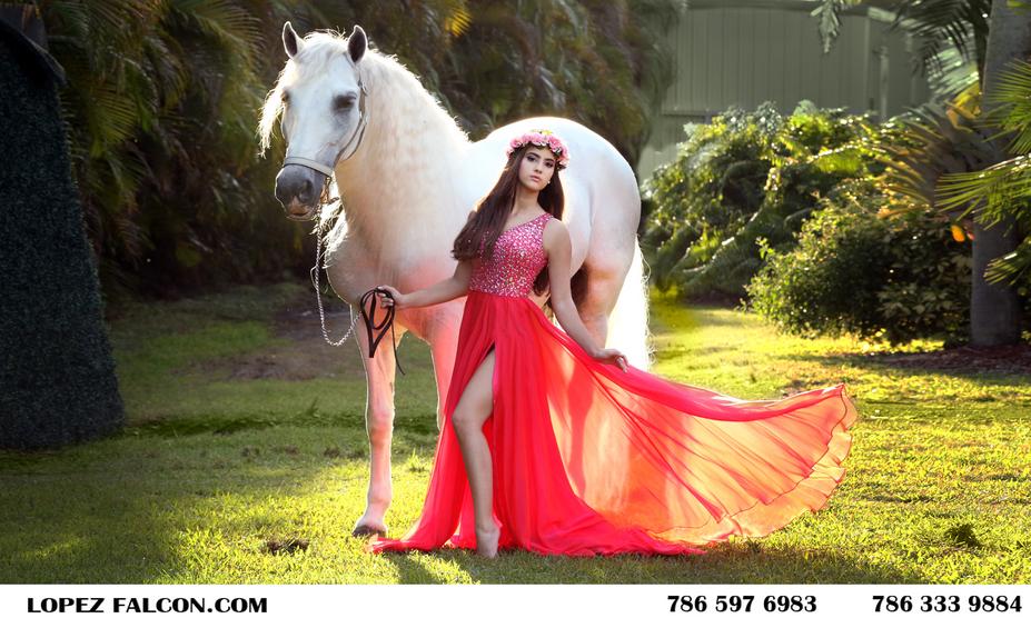quince dresses quinceanera dress quinces with horses in miami