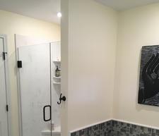 Bathroom renovation bathroom remodel tile Euro style shower door