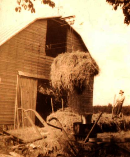 Zenfield Home