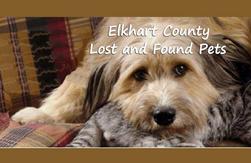 Elkhart County Lost & Found Pets