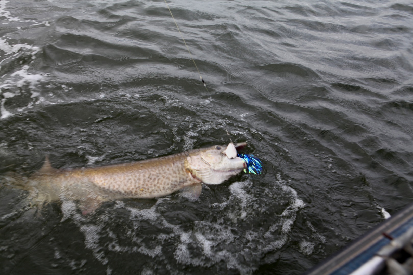 CAVE RUN LAKE MUSKY 