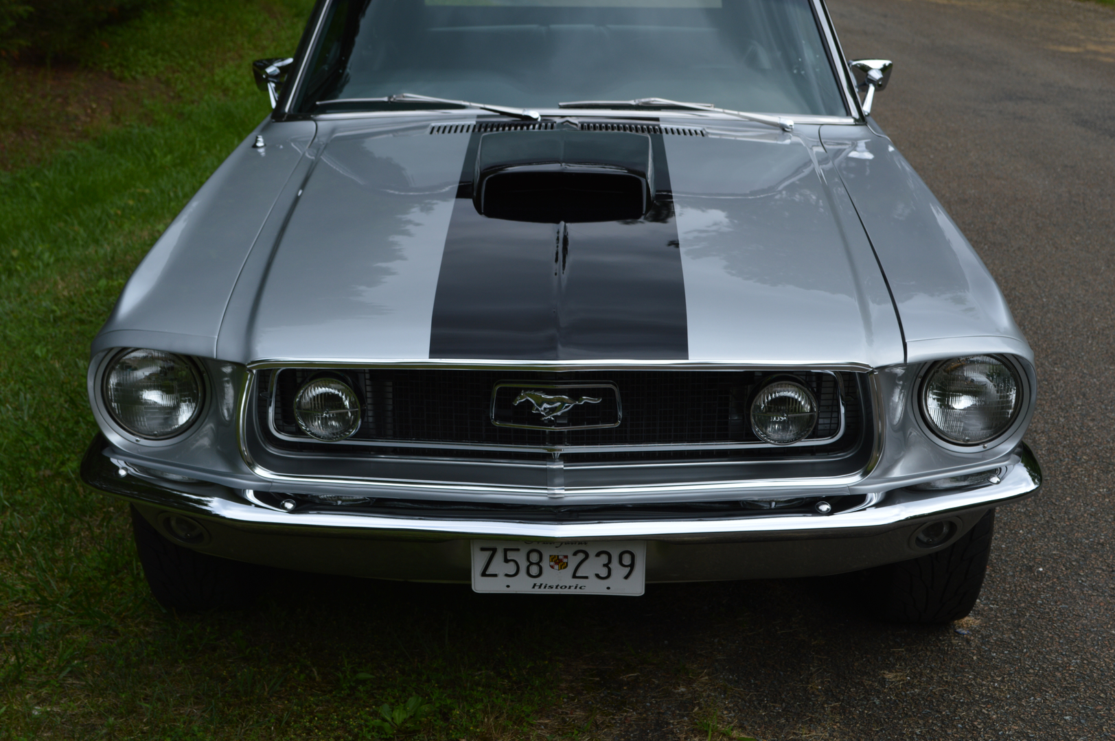 1968 Mustang Convertible Custom Interior Photos