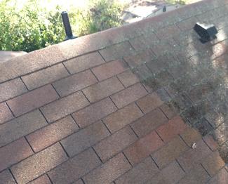 Roof soft washing service