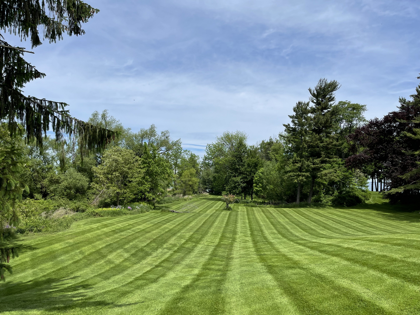 landscaping webster ny