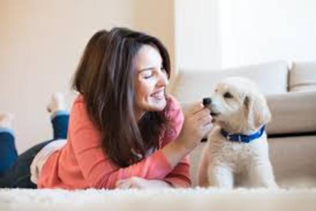 Cleaning Service for Pet Owners and Cost Omaha NE | Price Cleaning Services Omaha