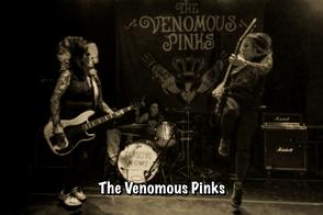 Venomous Pinks Observatory Live Concert