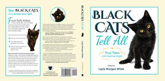 Black Cats Tell All Fullcover