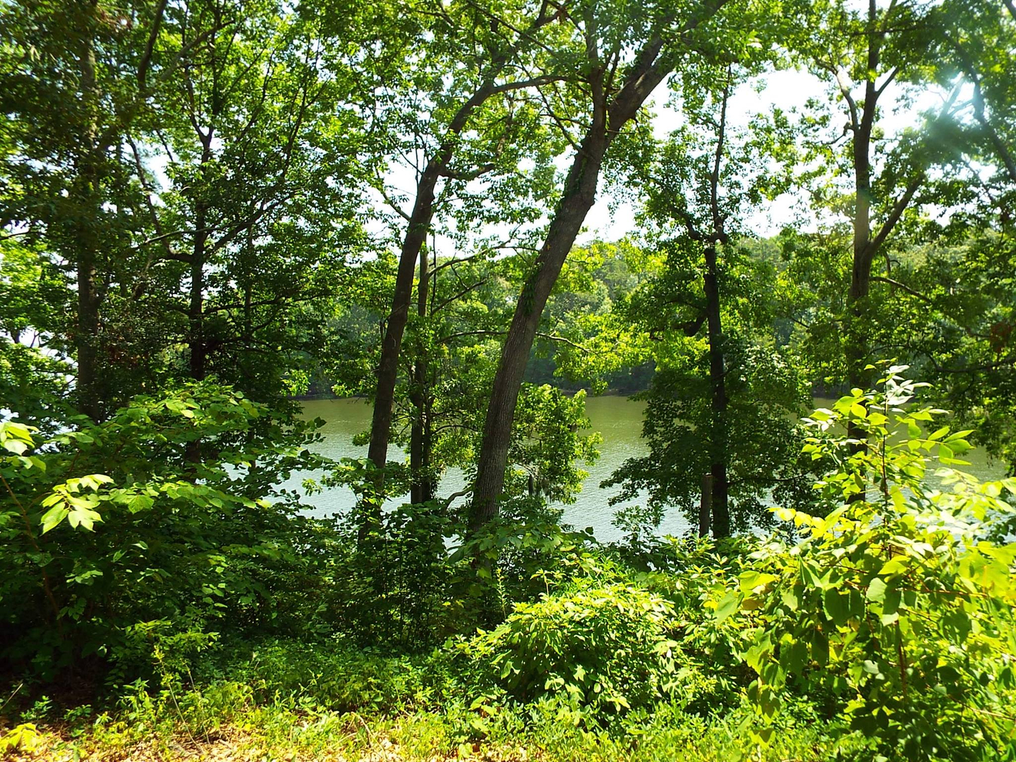 Santee Cabin Cottage Rentals Waterfront Lake Marion