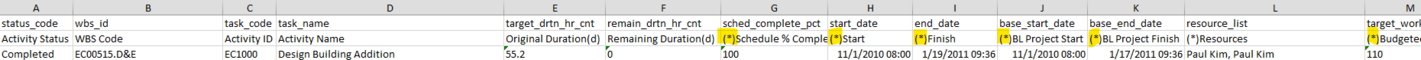 Export Excel file from Primavera P6