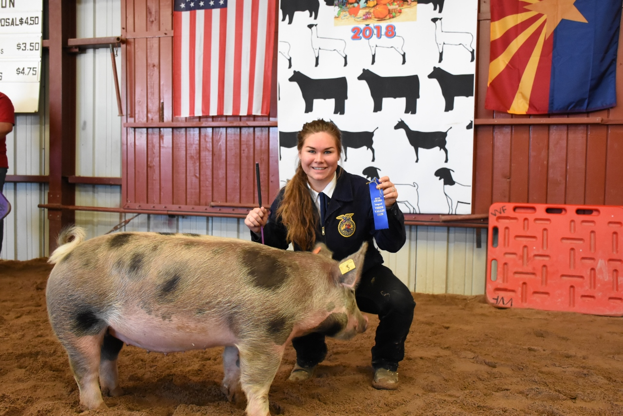 2019 Verde Valley Fair Cottonwood, AZ
