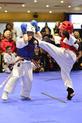 Kyokushinkai Karate Kumite junior photo
