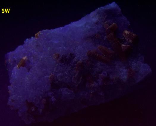 fluorescent brown Pyromorphite crystals, Quartz, golden Pyrite,Tetrahedrite, Level 200, Pcheloyad Mine (Pchelojad; Ptchelojad; Pcheloiad), Momchilgrad Obshtina, Kardzhali Oblast (Kurdzhali; Kărdžali; Kurdjali), Bulgaria