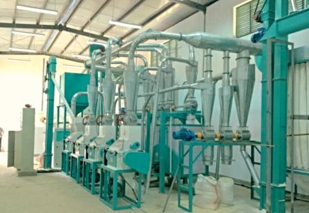 30 ton per day maize flour mill for super white maize meal