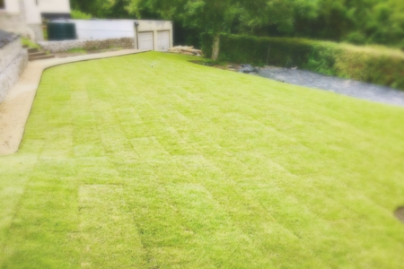Landscape work in Shearwater