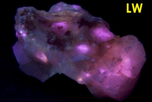 fluorescent phosphorescent Terlingua CALCITE, Terlingua, Terlingua Mining District, Brewster County, Texas, USA - ex Richard Eisenman "Highland Rocks"