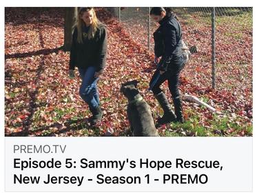 Episode 5 - The Canine Condition Visits Sammy's Hope