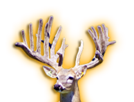 STORM EXPRESS WHITETAIL BUCK