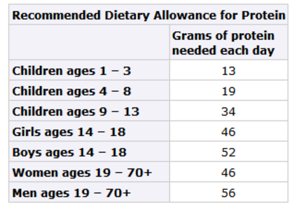 Recommended Dietary Allowance for Protein by age daily grams.