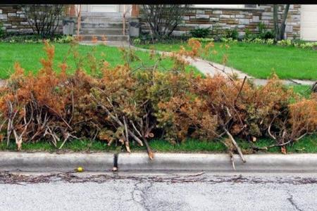 Brush Yard Waste Removal Services in Lincoln Nebraska | LNK Junk Removal