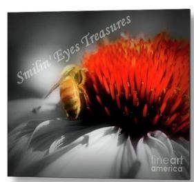 Honey Bee On Flower