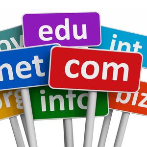 Domain Names and Hosting Plans
