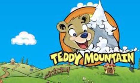 teddy mountain home