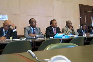 Lyal S. Sunga UN Human Rights Council Group of Experts on Darfur