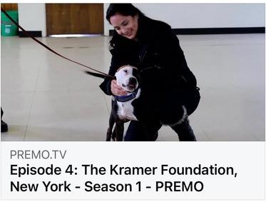 Episode 4 - The Canine Condition visits Kramer Foundation
