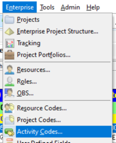 Add Primavera P6 activity codes in enterprise tab