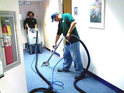 Carpet Cleaner Service