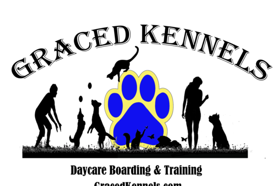 Cat Boarding In Augusta Graced Kennel Grooming