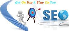 Search Engine Optimization (SEO)