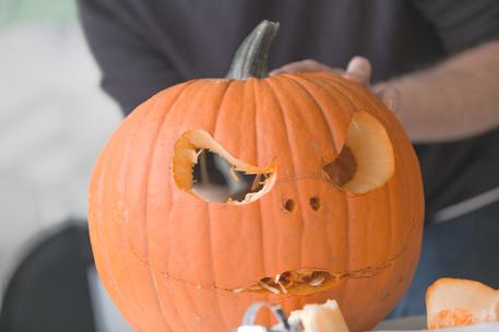 jack the pumpkin king carved for halloween