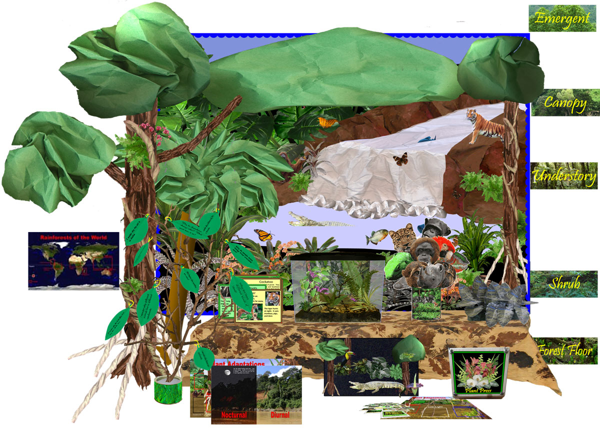 The Rainforest Biome: Resources for the Classroom