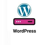 Mantis Domains - Hosting WordPress