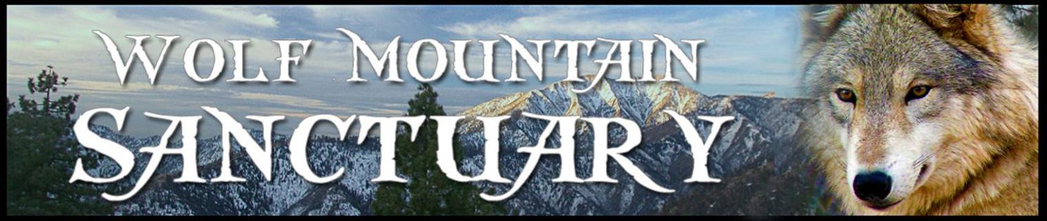 Wolf Mountain Sanctuary Logo