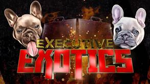 Executive Exotics Logo