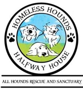 Hound rescue best sale and sanctuary