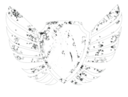 Allied Pro Media