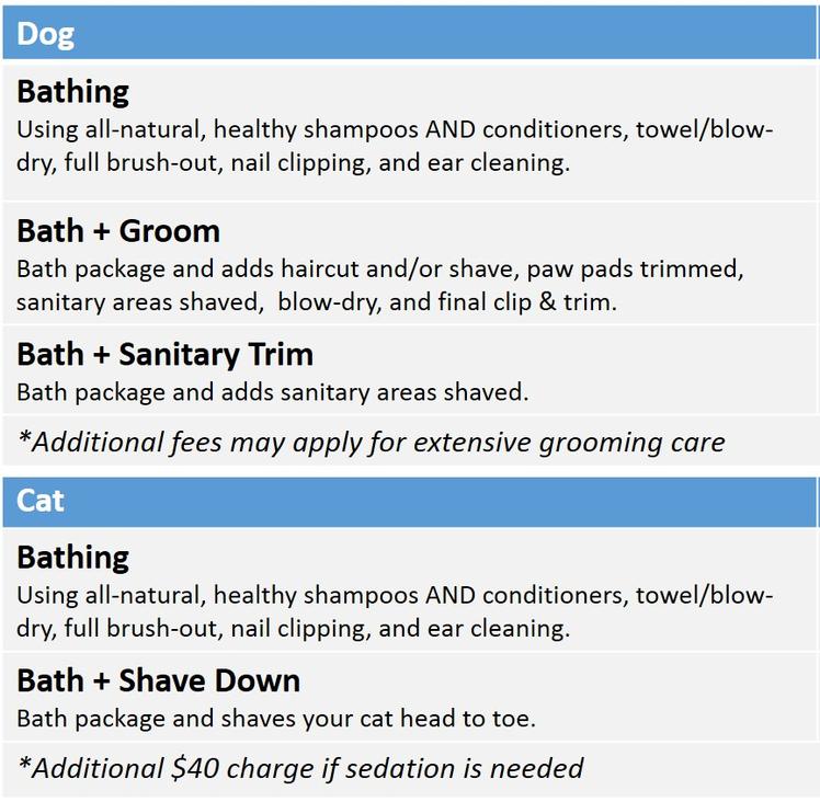 Cincinnati Hills Animal Clinic Grooming Table Image