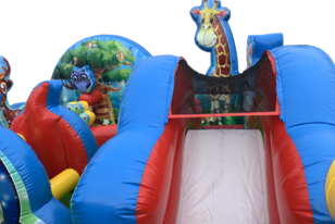 Cheap Toddler Inflatable Rentals