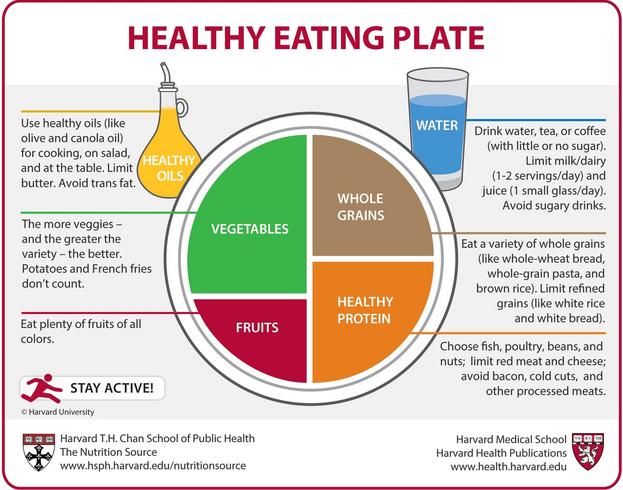 Healthy Eating Plate Nutrition Guide