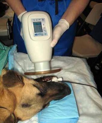 Nomad Pro 2 Veterinary in Use