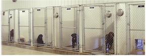 Outdoor Pet Containment Systems