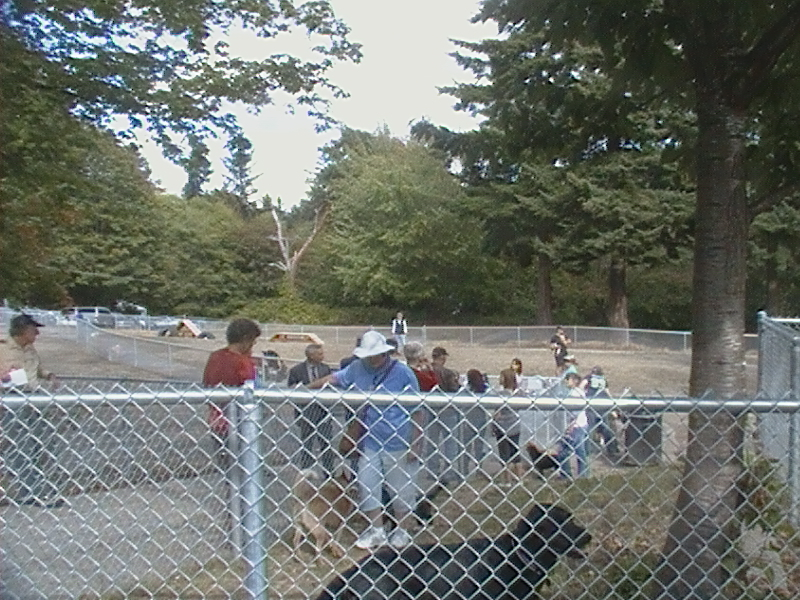 Our Dog Park