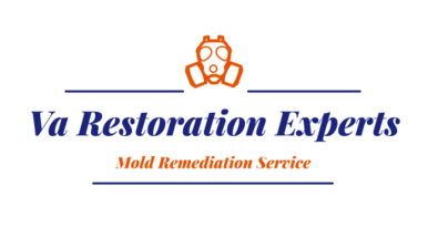 Virginia Restoration Experts Mold Remediation Services