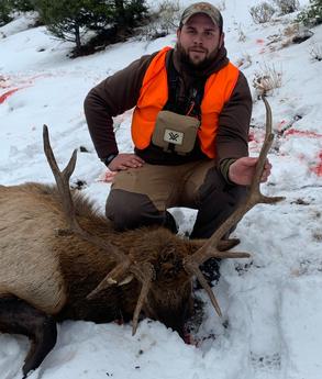 Montana Elk Hunting www.2houtdoors.com